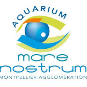 mare nostrum 2.jpg (14 KB)